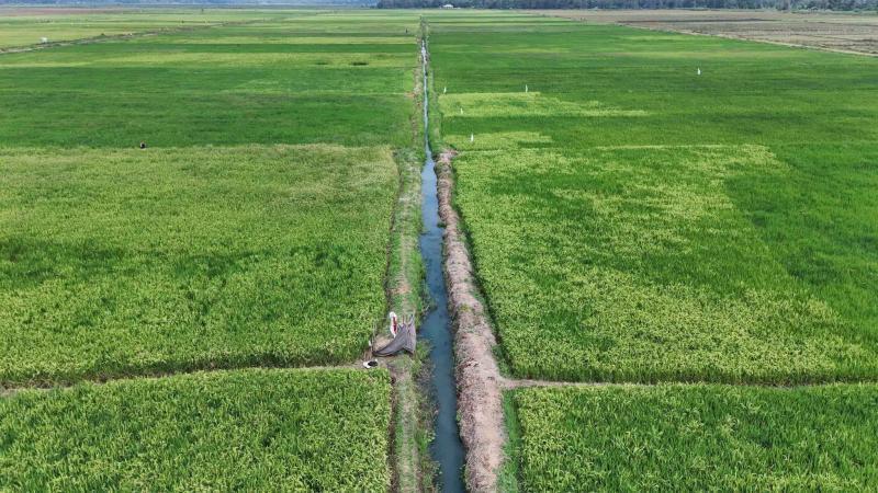 File image of the Bunyala Irrigation Scheme.